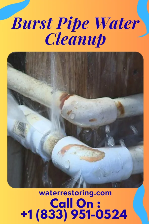 Burst Pipe Water Cleanup in Sinking Spring, OH