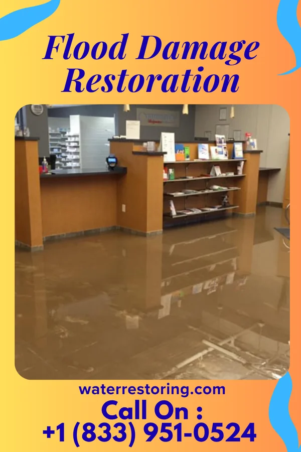 Flood Damage Restoration in Sinking Spring, OH