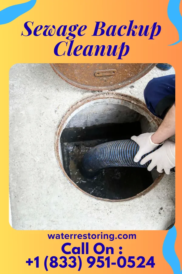 Sewage Backup Cleanup in Sinking Spring, OH