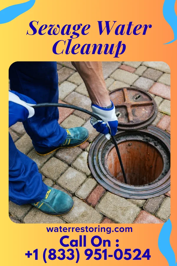 Sewage Water Cleanup in Sinking Spring, OH